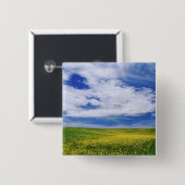 Gebiet der Blume Canola oder Senf, Palouse Button (Vorne & Hinten)