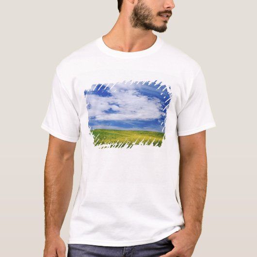 Gebiet der Blume Canola oder Senf, Palouse T-Shirt (Vorderseite)