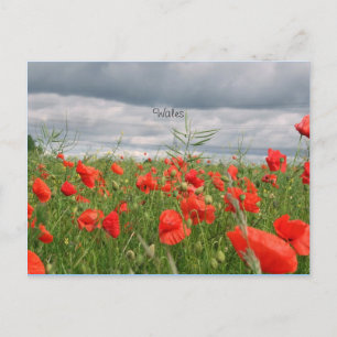 Gebiet der Blume (Wales) Postkarte