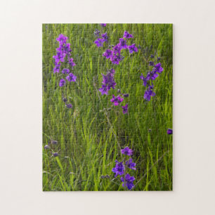 Gebiet der Lila Larkspur-Blume Puzzle