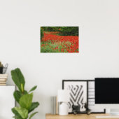 Gebiet der Mohnblüten mit Hybridmohn, entlang der Poster (Heimbüro)
