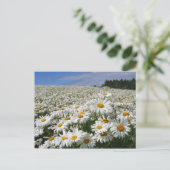 Gebiet der Molkereien in Hokkaido Postkarte (Stehend Vorderseite)