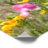 Gebiet der Poppies in Island Poster (Ecke)