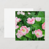 Gebiet der rosa Tulpen (Vorne/Hinten)