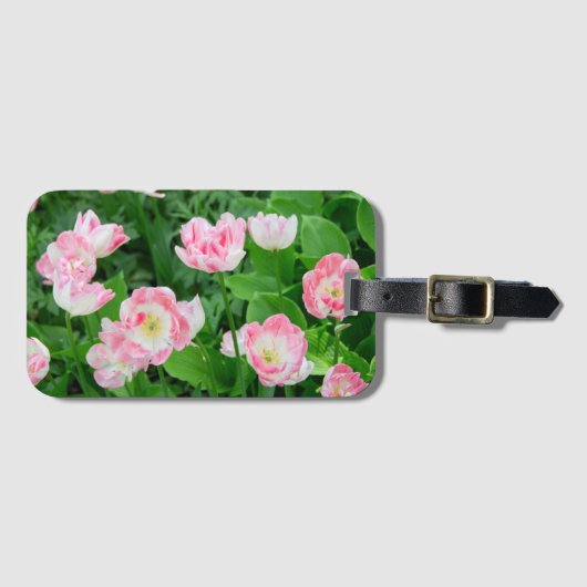 Gebiet der rosa Tulpen Gepäckanhänger (Vorderseite (Horizontal))