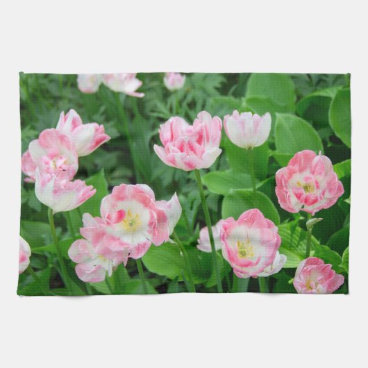 Gebiet der rosa Tulpen Geschirrtuch (Horizontal)