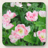 Gebiet der rosa Tulpen Getränkeuntersetzer (Vorderseite)