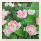 Gebiet der rosa Tulpen Glasuntersetzer (Vorderseite)