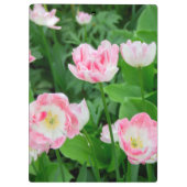Gebiet der rosa Tulpen Klemmbrett (Rückseite)