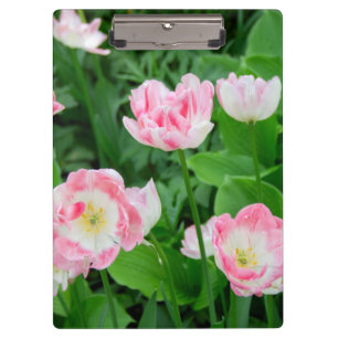 Gebiet der rosa Tulpen Klemmbrett