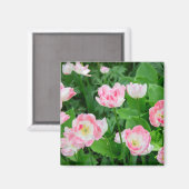 Gebiet der rosa Tulpen Magnet (Vorderseite/Rückseite)