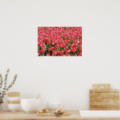 Gebiet der rosa Tulpen Poster (Küche)