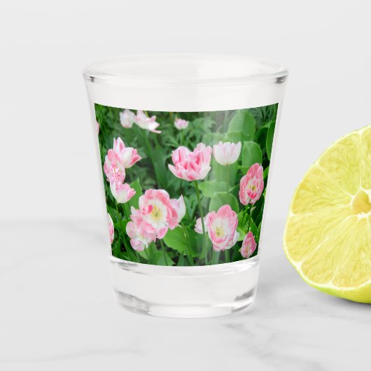 Gebiet der rosa Tulpen Schnapsglas (Vorderseite)