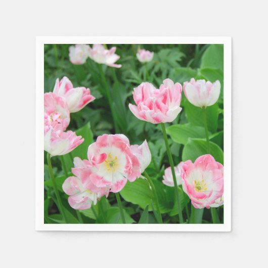 Gebiet der rosa Tulpen Serviette (Vorderseite)