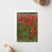 Gebiet der roten Pflücken Mitteilungskarte (Vorderseite/Rückseite Beispiel)