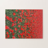 Gebiet der roten Pflücken Puzzle (Horizontal)