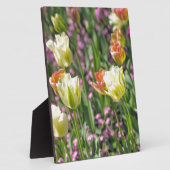 Gebiet der Tulpen Fotoplatte (Seite)