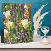 Gebiet der Tulpen Fotoplatte (Seite)