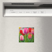 Gebiet der Tulpen Magnet (In Situ (Geschirrspüler))