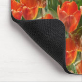 Gebiet der Tulpen...... Mousepad (Ecke)