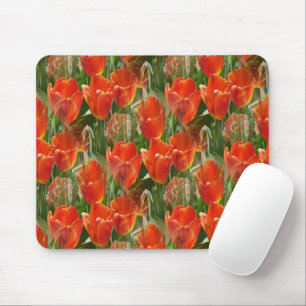 Gebiet der Tulpen...... Mousepad