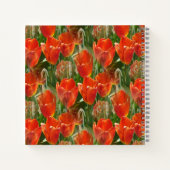 Gebiet der Tulpen....... Notizblock (Rückseite)