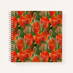 Gebiet der Tulpen....... Notizblock