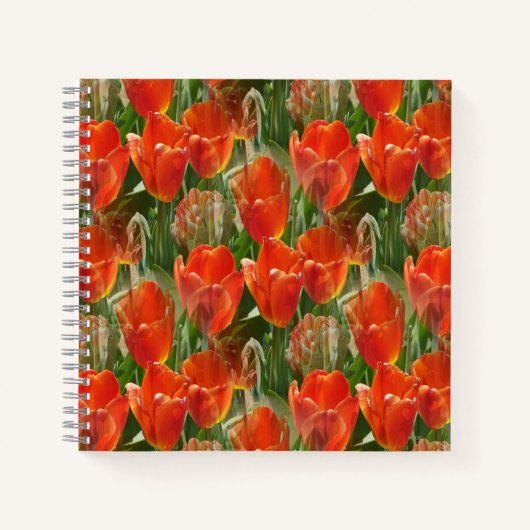 Gebiet der Tulpen....... Notizblock (Vorderseite)