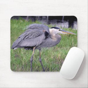 Gebiet des Großen Blauhelmen Mousepad