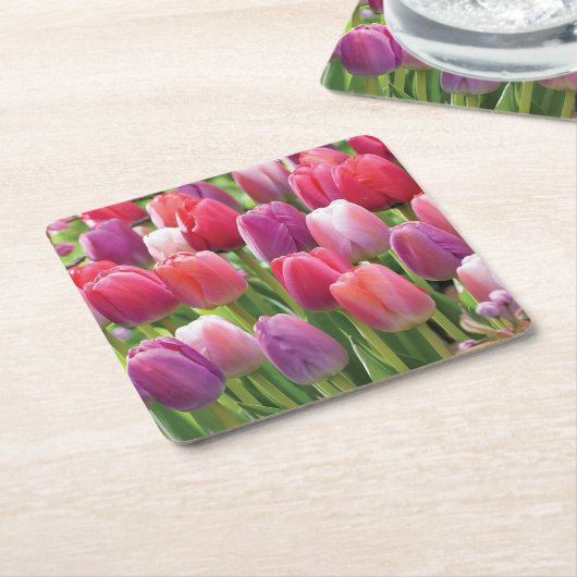 Gebiet des Untersetzer Tulips Set (angewinkelt)