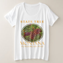 Gebiet Montana Der Ponderosa