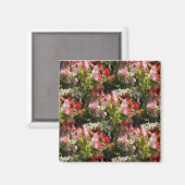 Gebiet von Begonias.... Magnet (Vorderseite/Rückseite)