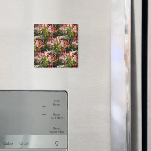 Gebiet von Begonias.... Magnet (In Situ (Kühlschrank))