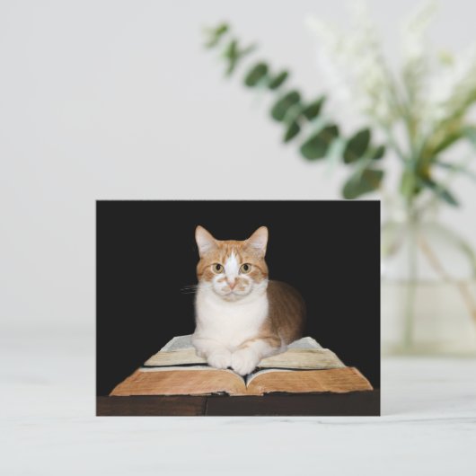 Gebildete Katze oder Bibliothekarin Postkarte (Stehend Vorderseite)