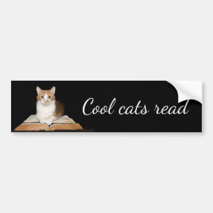 Gebildete literarische Miezekatzekatze Autoaufkleber