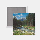 Gebirge | Banff National Park Magnet (Vorderseite/Rückseite)