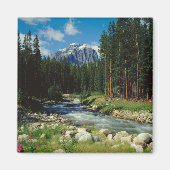 Gebirge | Banff National Park Magnet (Vorne)