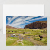 Gebirge | Bolivian Andes Dankeskarte (Vorne/Hinten)