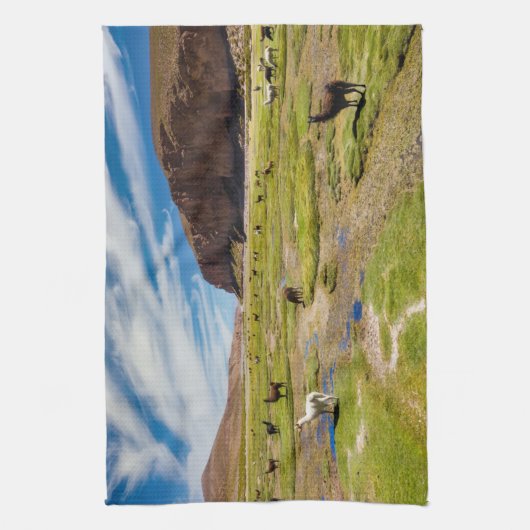 Gebirge | Bolivian Andes Geschirrtuch (Vertikal)