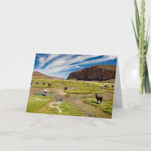 Gebirge | Bolivian Andes Karte (Vorderseite)