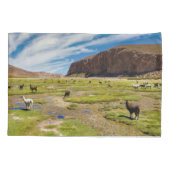 Gebirge | Bolivian Andes Kissenbezug (Rückseite)