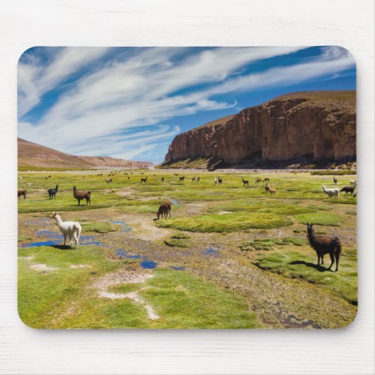 Gebirge | Bolivian Andes Mousepad (Vorne)