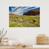 Gebirge | Bolivian Andes Poster (Küche)