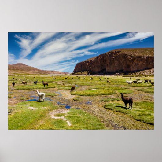 Gebirge | Bolivian Andes Poster (Vorne)