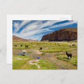 Gebirge | Bolivian Andes Postkarte (Vorne/Hinten)