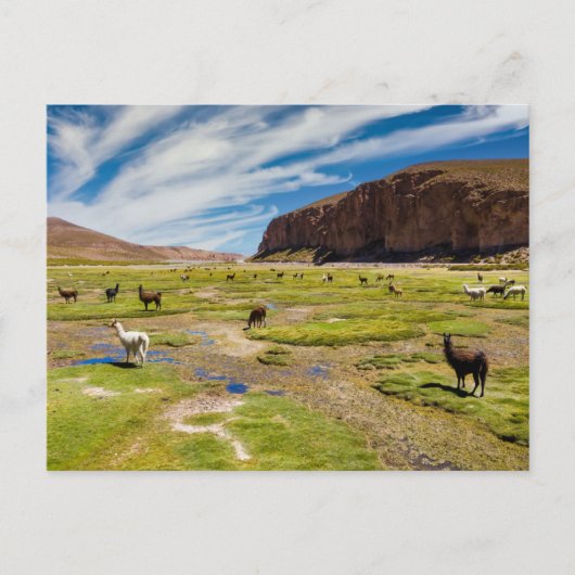 Gebirge | Bolivian Andes Postkarte (Vorderseite)