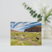 Gebirge | Bolivian Andes Postkarte (Stehend Vorderseite)