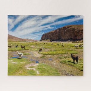 Gebirge   Bolivian Andes Puzzle