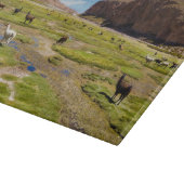 Gebirge | Bolivian Andes Schneidebrett (Ecke)