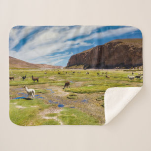 Gebirge   Bolivian Andes Sherpadecke